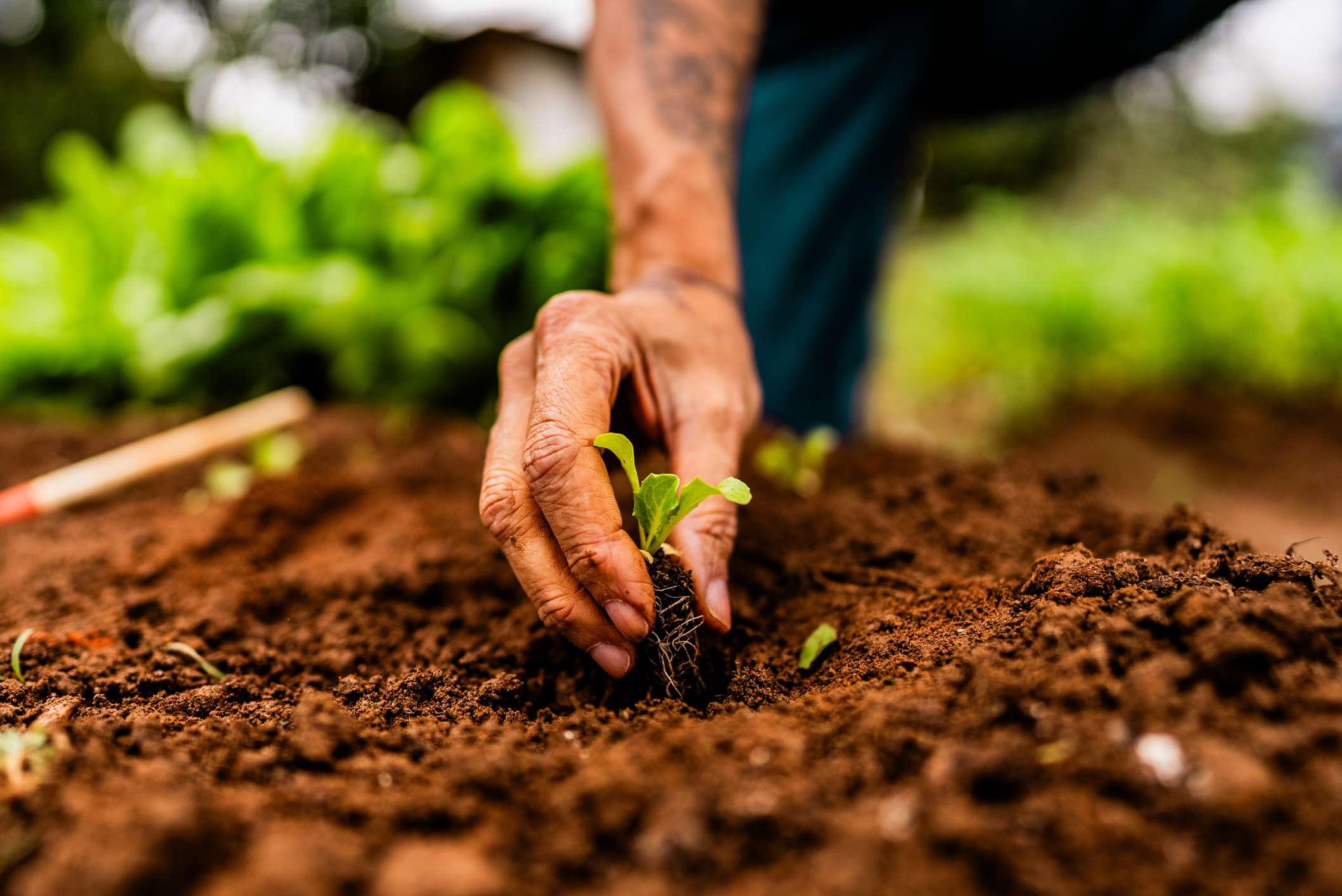 Agricultura