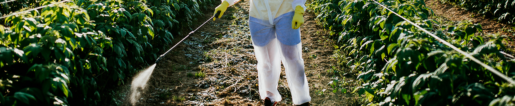 Aplicação de Defensivos Agrícolas