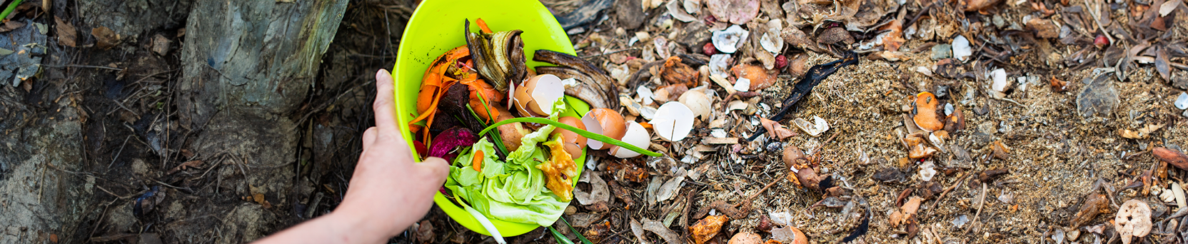 Compostagem para Fertilização Orgânica