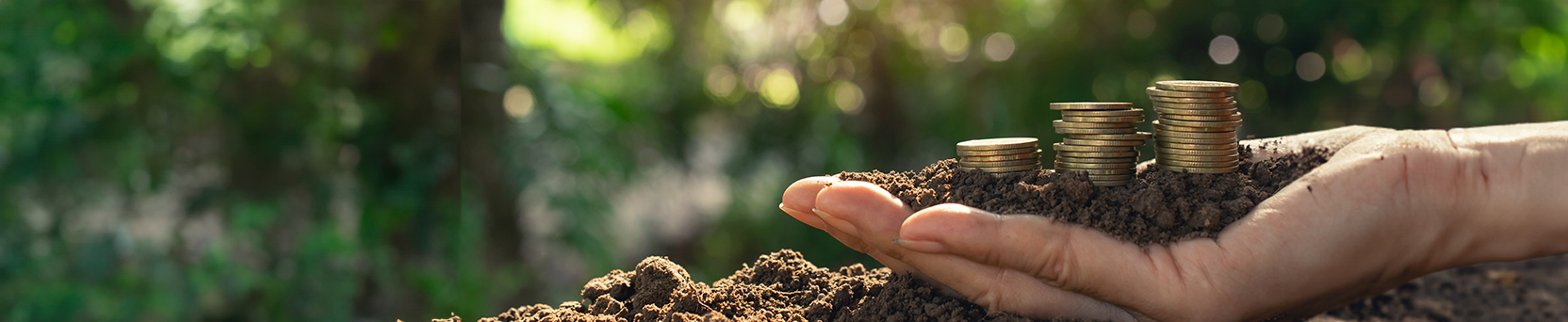 Educação Financeira para o Produtor Rural