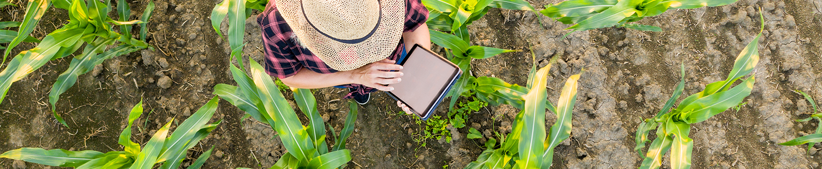 Informática e Internet Básico
