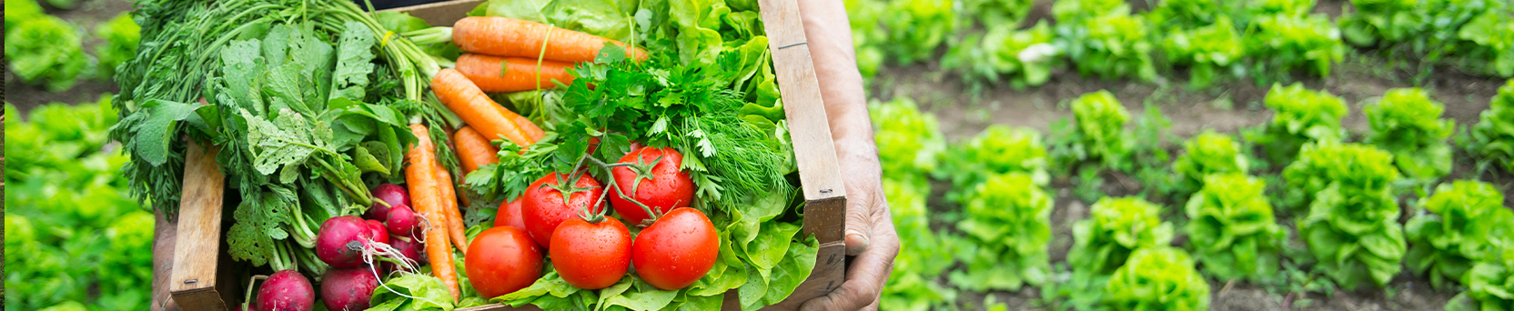 Negócio Certo Rural