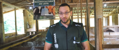 Manejos iniciais com bezerras recém-nascidas